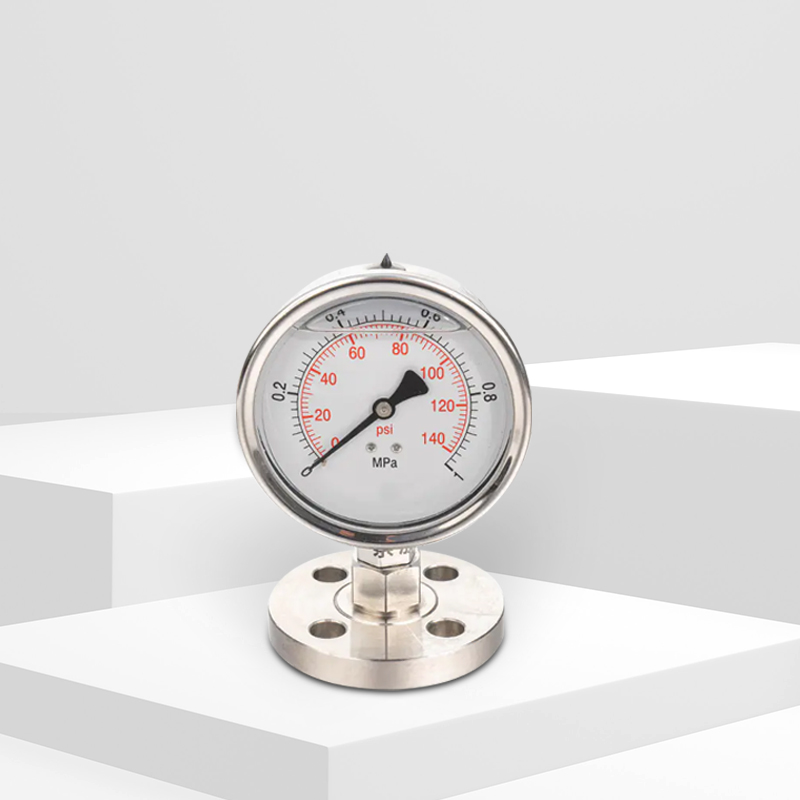 모든 스테인레스 스틸 석유 화학 다이어프램 압력 게이지